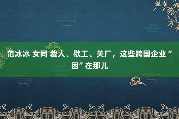 范冰冰 女同 裁人、歇工、关厂,这些跨国企业“困”在那儿