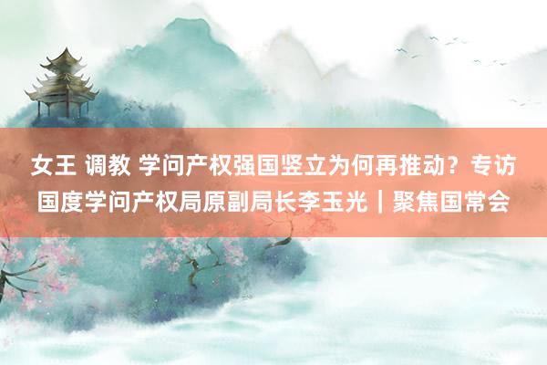 女王 调教 学问产权强国竖立为何再推动?专访国度学问产权局原副局长李玉光|聚焦国常会