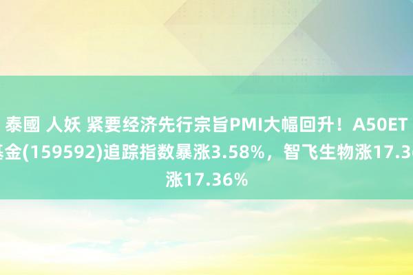 泰國 人妖 紧要经济先行宗旨PMI大幅回升!A50ETF基金(159592)追踪指数暴涨3.58%,智飞生物涨17.36%