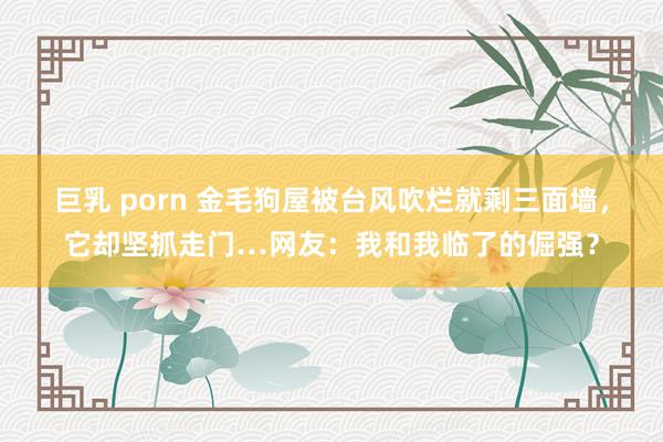 巨乳 porn 金毛狗屋被台风吹烂就剩三面墙,它却坚抓走门…网友:我和我临了的倔强?