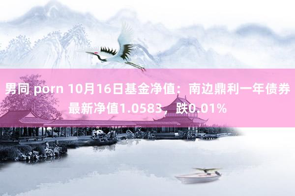 男同 porn 10月16日基金净值:南边鼎利一年债券最新净值1.0583,跌0.01%