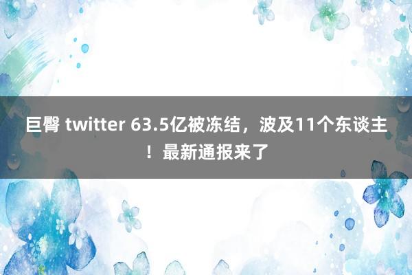 巨臀 twitter 63.5亿被冻结,波及11个东谈主!最新通报来了