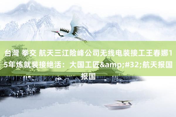 台灣 拳交 航天三江险峰公司无线电装接工王春娜15年炼就装接绝活:大国工匠 航天报国