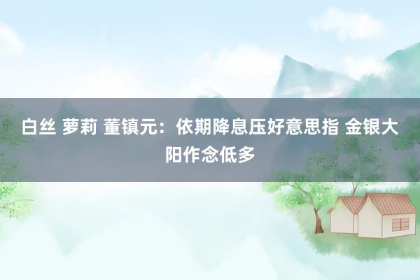 白丝 萝莉 董镇元:依期降息压好意思指 金银大阳作念低多