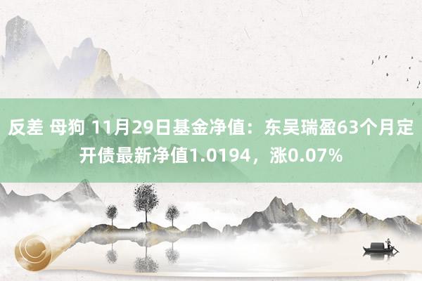 反差 母狗 11月29日基金净值:东吴瑞盈63个月定开债最新净值1.0194,涨0.07%