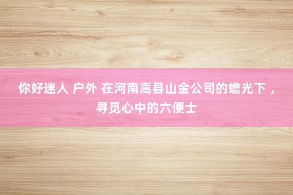 你好迷人 户外 在河南嵩县山金公司的蟾光下 ,寻觅心中的六便士