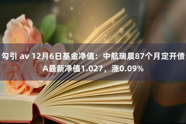 勾引 av 12月6日基金净值:中航瑞晨87个月定开债A最新净值1.027,涨0.09%