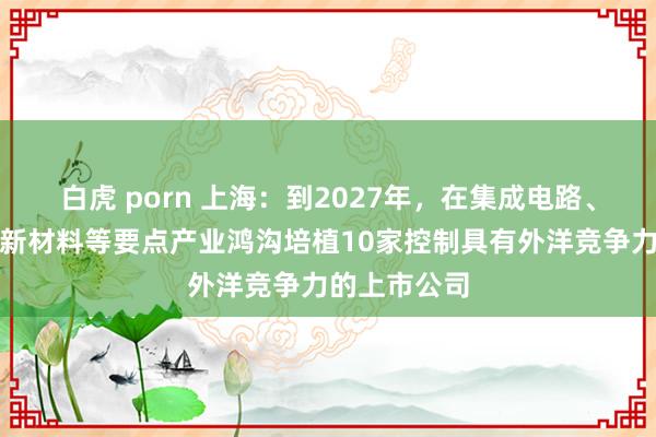 白虎 porn 上海：到2027年，在集成电路、生物医药、新材料等要点产业鸿沟培植10家控制具有外洋竞争力的上市公司