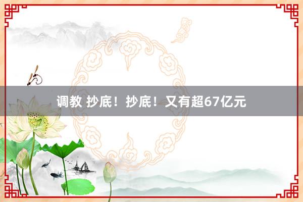 调教 抄底!抄底!又有超67亿元
