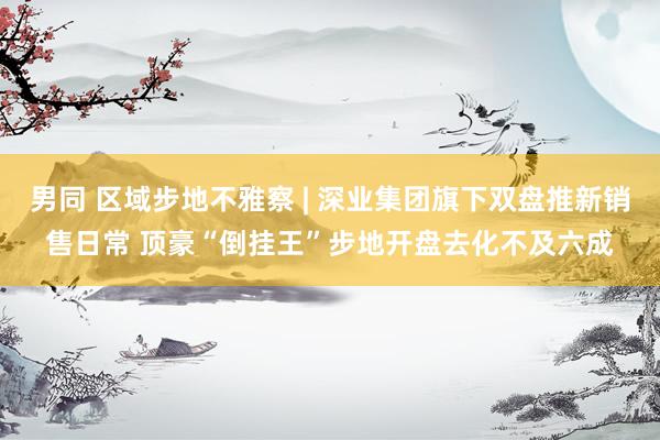 男同 区域步地不雅察 | 深业集团旗下双盘推新销售日常 顶豪“倒挂王”步地开盘去化不及六成