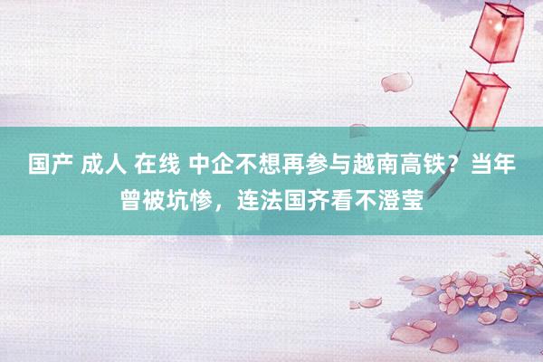 国产 成人 在线 中企不想再参与越南高铁?当年曾被坑惨,连法国齐看不澄莹