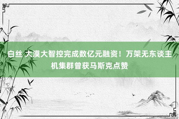 白丝 大漠大智控完成数亿元融资!万架无东谈主机集群曾获马斯克点赞