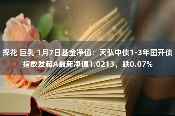 探花 巨乳 1月7日基金净值:天弘中债1-3年国开债指数发起A最新净值1.0213,跌0.07%