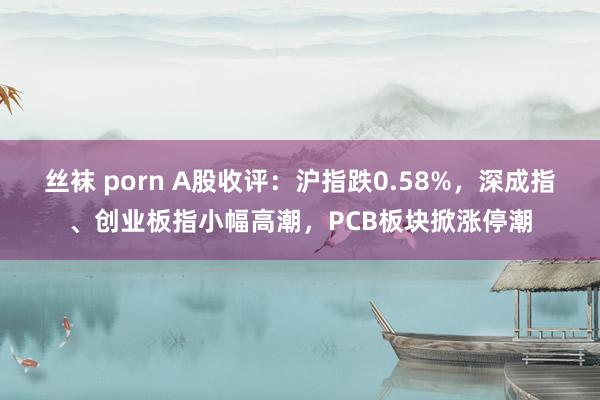 丝袜 porn A股收评:沪指跌0.58%,深成指、创业板指小幅高潮,PCB板块掀涨停潮