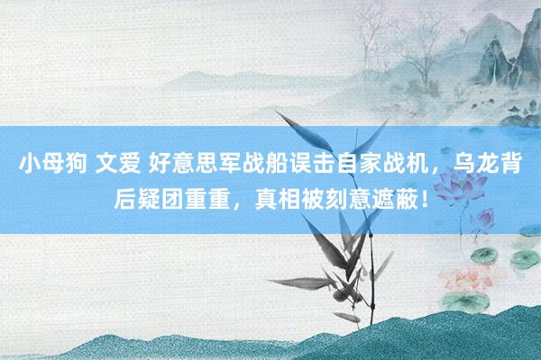 小母狗 文爱 好意思军战船误击自家战机,乌龙背后疑团重重,真相被刻意遮蔽!