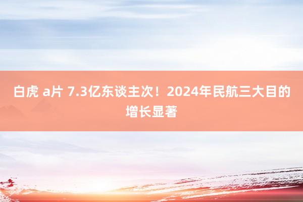 白虎 a片 7.3亿东谈主次!2024年民航三大目的增长显著