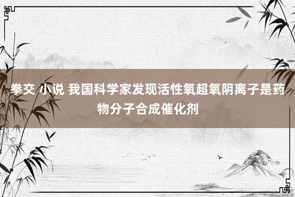 拳交 小说 我国科学家发现活性氧超氧阴离子是药物分子合成催化剂