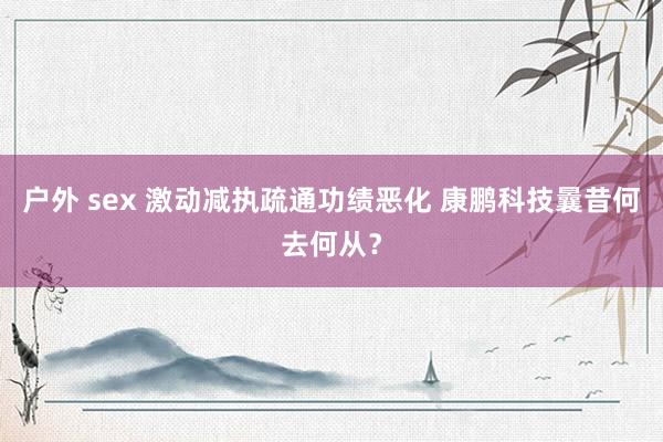 户外 sex 激动减执疏通功绩恶化 康鹏科技曩昔何去何从?