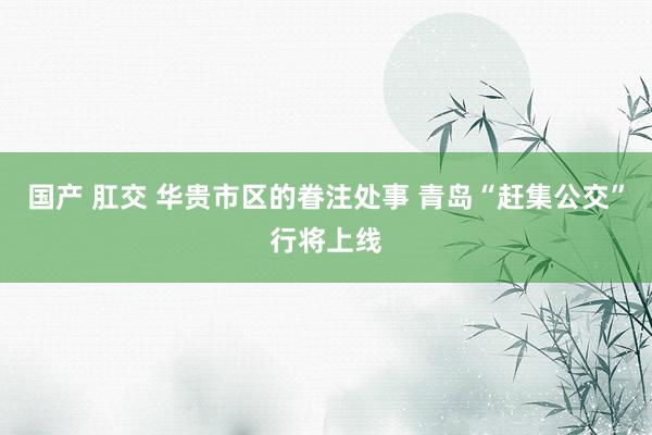 国产 肛交 华贵市区的眷注处事 青岛“赶集公交”行将上线