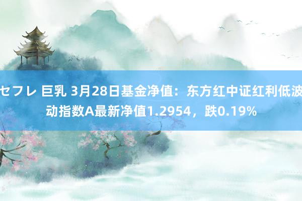 セフレ 巨乳 3月28日基金净值:东方红中证红利低波动指数A最新净值1.2954,跌0.19%
