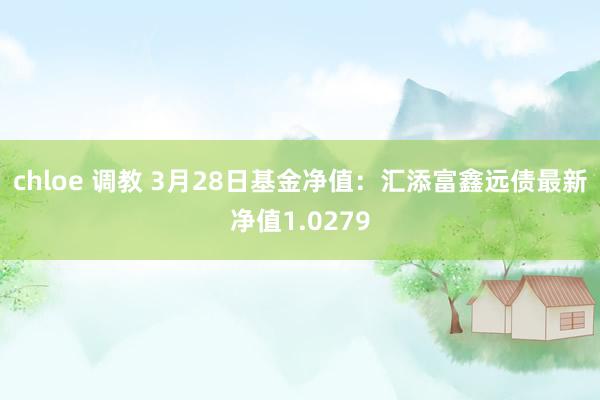chloe 调教 3月28日基金净值:汇添富鑫远债最新净值1.0279